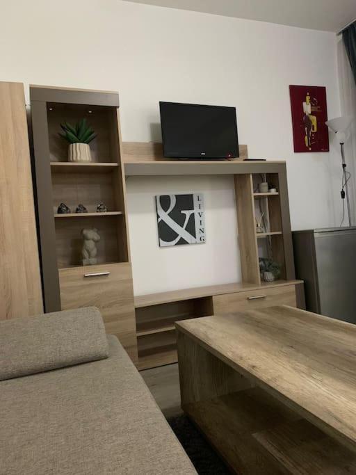 Studio Central Mm Apartments Braşov Exterior foto